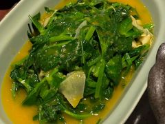 豆汤豌豆尖-半山腰·云南菜(侨福芳草地店)