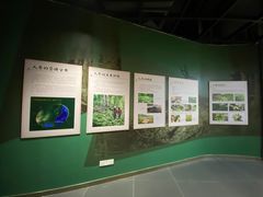 -广东中医药博物馆