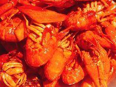 吮指腐乳小龙虾-京韵胡同·酱香羊蝎子火锅涮肉(长寿路店)