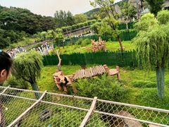 -沈阳森林动物园