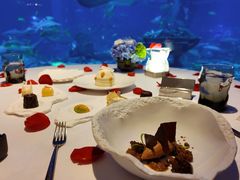 -亚特兰蒂斯•OSSIANO奥西亚诺海底餐厅