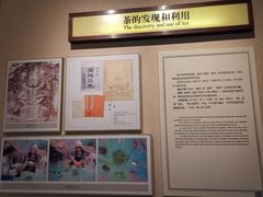 -中国茶叶博物馆(双峰馆区)