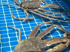 -吉友粥底火锅(方斜路店)