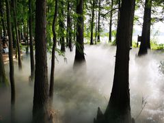 -东湖落雁景区