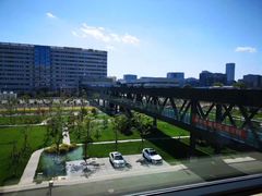 -首都医科大学附属北京天坛医院