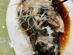清蒸大龙力鱼（海捕）-新净雅烹小鲜(学院路店)