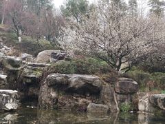 -秀丽东方