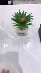 -梵创造型