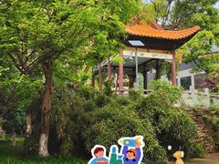 -长沙市青少年宫