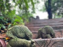 -普洱太阳河森林公园