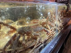 -紫阳海鲜楼·传承闽味(长乐路总店)