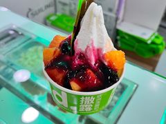 -Salud撒露欧洲冻酸奶(五道口购物中心店)
