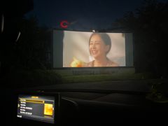 -枫花园汽车电影院(朝阳公园店)