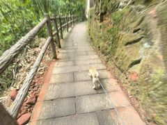-赤水丹霞旅游区·大瀑布