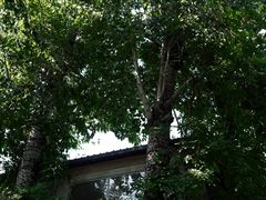 -VOYAGE COFFEE 咖啡烘焙工坊店(798艺术区店)