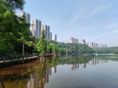 -重庆彩云湖湿地公园