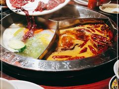 -大龙燚·旷野鲜火锅(广州首店)