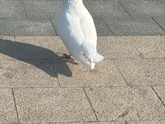 -在海一方公园