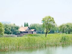 -苏州太湖湖滨国家湿地公园