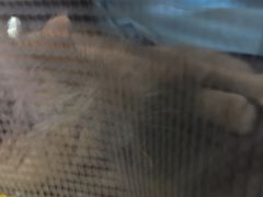 -瑞派宠物医院·24h·骨外科·皮肤科·全科宠物医疗转诊中心(沈阳浑南院)