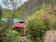 -麦积山温泉