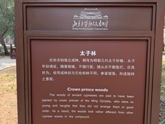 -北京市劳动人民文化宫(太庙)