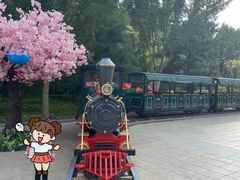 -南宫五洲植物乐园