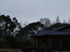 -渤公岛生态公园