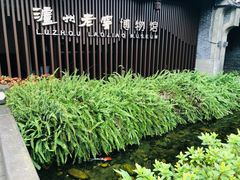 -泸州老窖景区