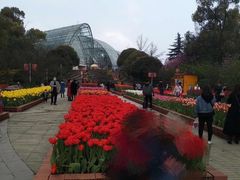 -南山植物园
