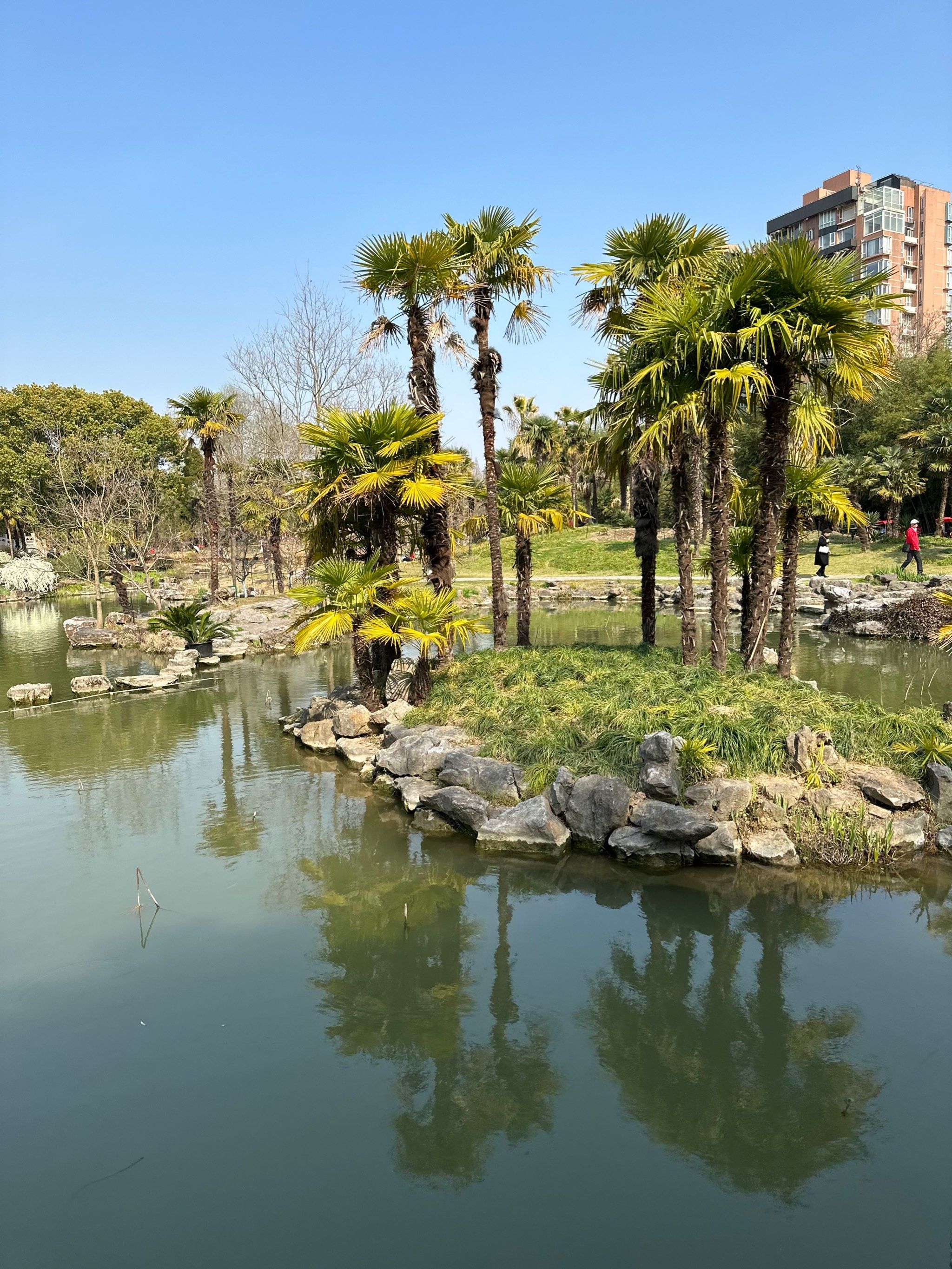 上海植物园,遛娃神地