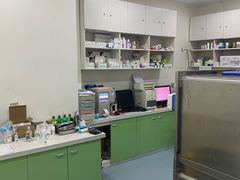 -佳怡动物医院·平价24小时·猫专科骨外科