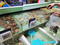 -盒马鲜生(新都心店)