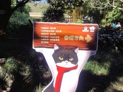 -广州兰圃