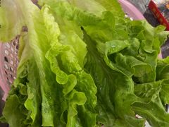 -力哥地道海南菜·联谊文昌鸡老店