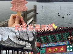 -济南大明湖景区