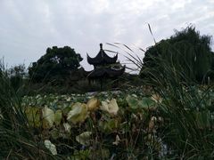 -花溪公园