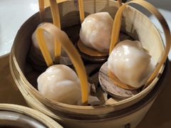招牌虾饺皇-金鼎轩(鸟巢北辰荟店)