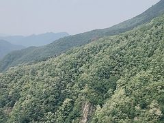 -泰山风景名胜区