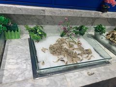 -火锅岛潮牌自助餐厅(天津天佑城店)