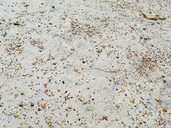 -那香海钻石沙滩浴场