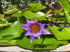 -天津市峰山药王古寺