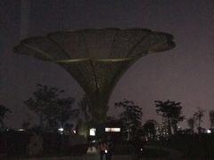 -白石龙音乐公园