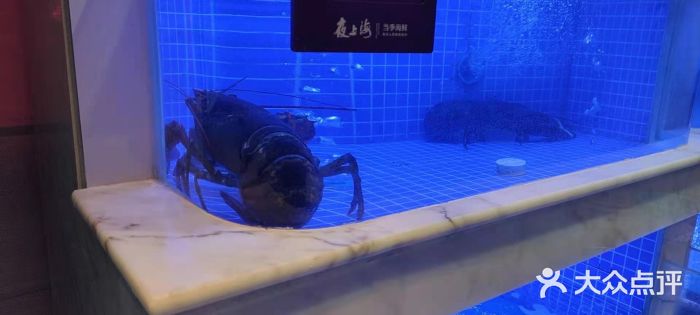 箸福·夜上海(雨花客厅店)图片