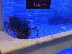 -箸福·夜上海(雨花客厅店)