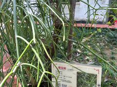 -广州神农草堂中医药博物馆