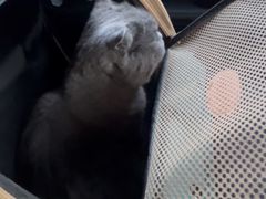 -北京观赏动物医院·24小时大型综合·猫专科·异宠专科