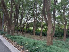 -同里国家湿地公园