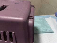 -半岛宠物医院24小时(白果林店)