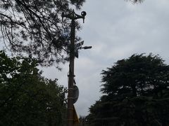 -青岛德国总督楼旧址博物馆